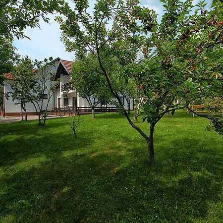 Lagom Apartments Drežnik Grad المظهر الخارجي الصورة